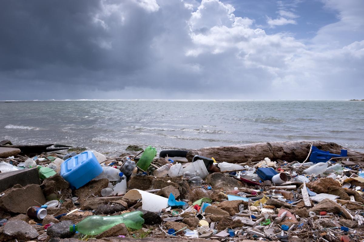 Environmental Pollution